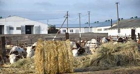 Увековечить подвиг председательского корпуса